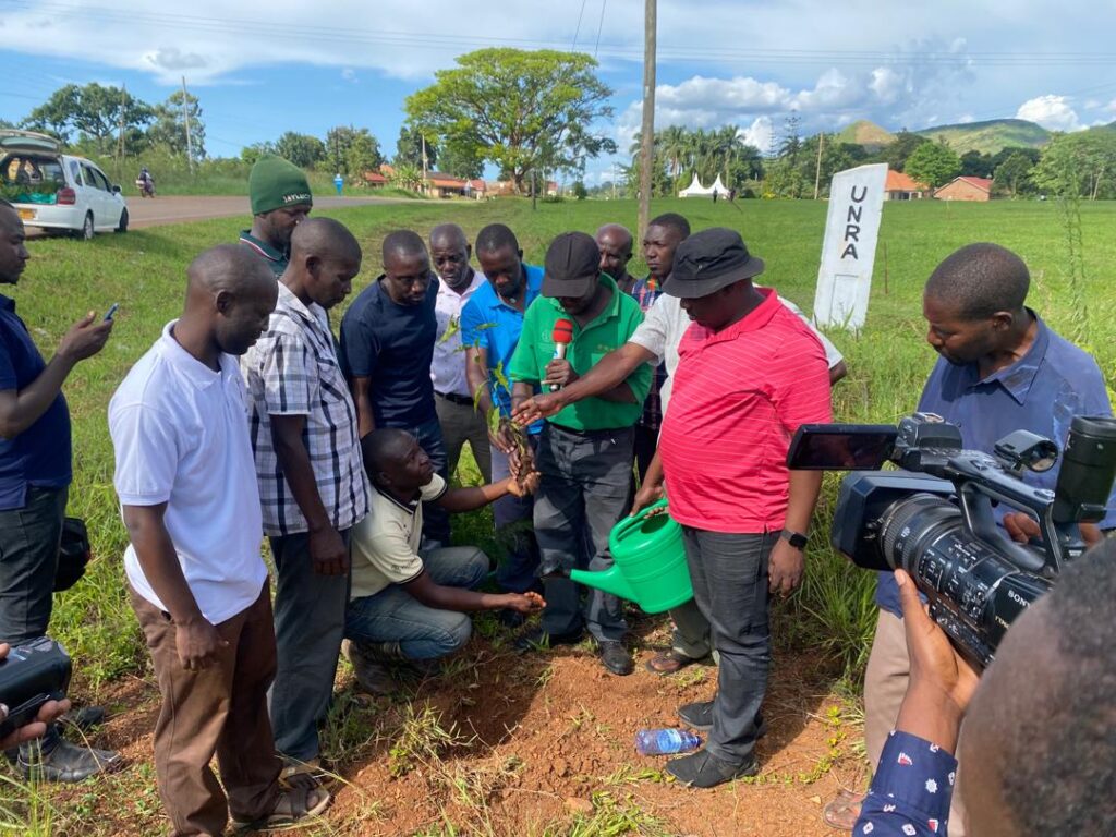 Bunyoro Think Tank members plant trees at Mparo Royal Tombs in Hoima City on Saturday. Photo:TAJ.