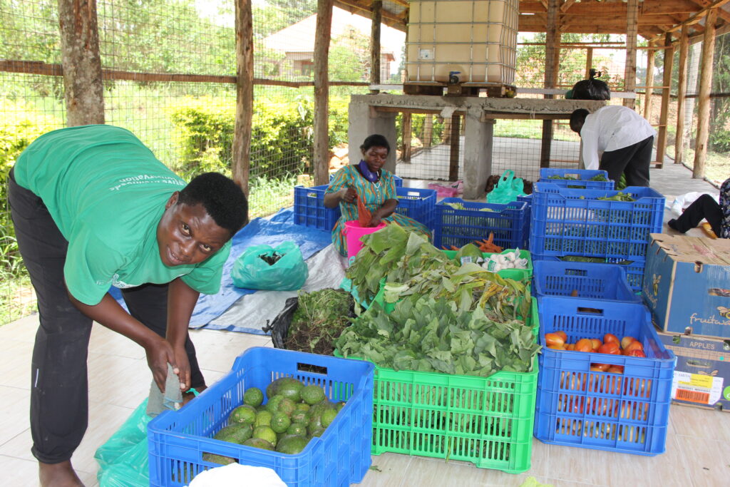 Women sort foodstuffs for sell in Hoima City. Photo by Robert Atuhairwe.