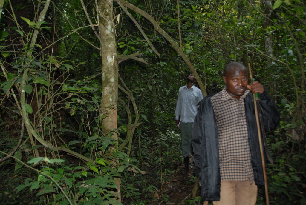 People enjoying the beauty of BudongoCentral Forest Reserve in Masindi district. Photo by Robert Atuhairwe.