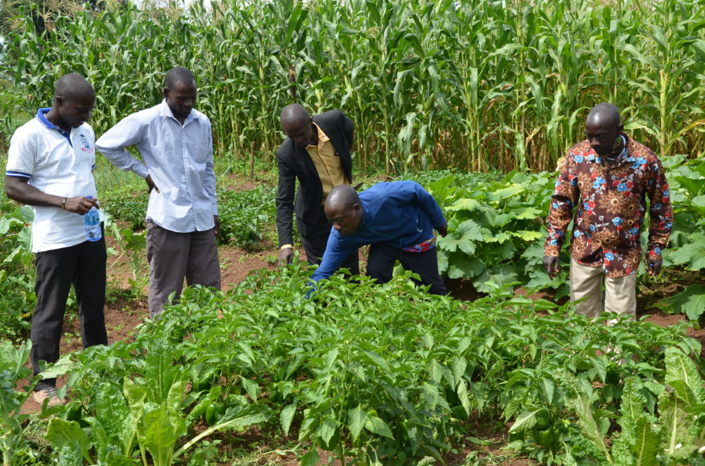 African farming sector is dominated by smallholders, producing mainly for their own consumption. Credit: Robert Atuhairwe/The Albertine Journal