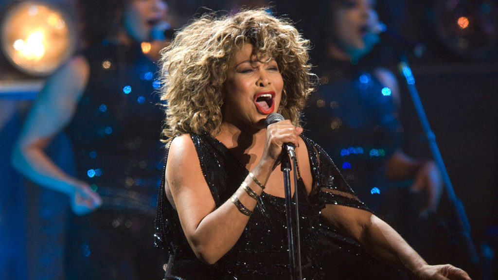 Tina Turner performs on stage at the Gelredome on March 21, 2009 in Arnhem, Netherlands. (Photo by Rob Verhorst/Redferns)