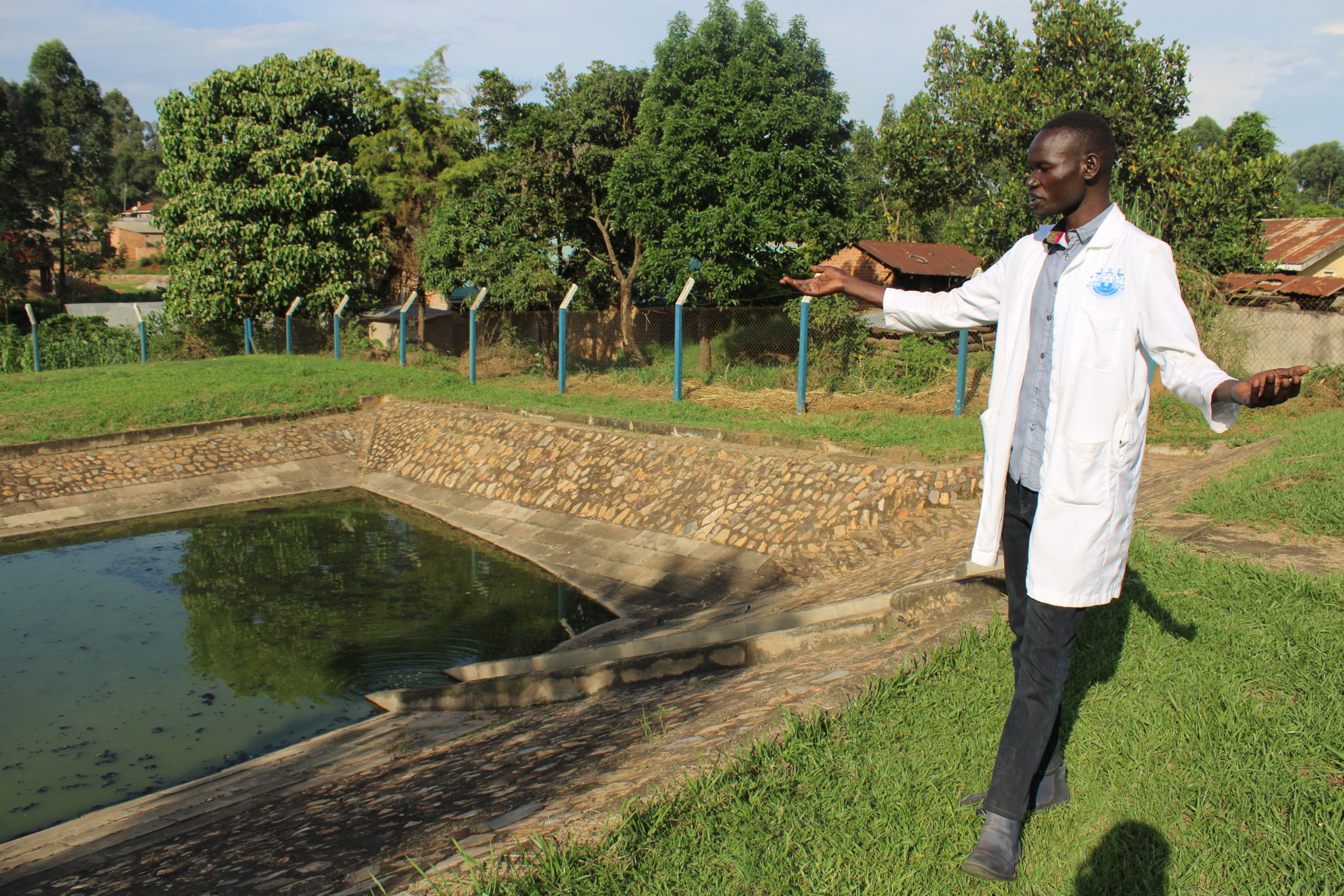 Denis Otto, NWSC quality control officer leads The Albertine Journal around the sewage lagoon in Kiganda cell in Hoima City on May 16, 2013. Photo: Robert Atuhairwe/The Albertine Journal.