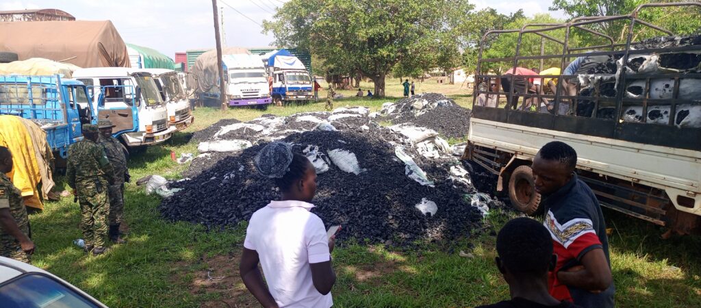 Impounded vehicles with charcoal are being inspected.