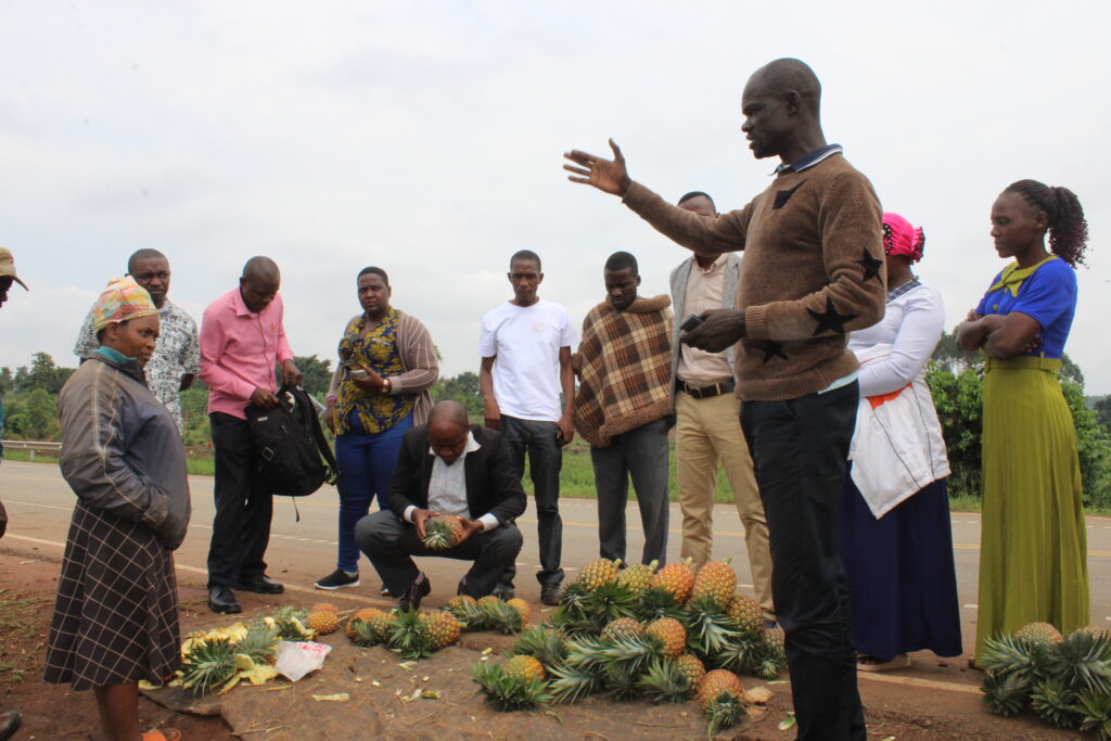 Caravanners meeting Francina Kisembo, a roadside pineapple vendor at Nalweyo and Kakumiro town in Kakumiro district. Credit: Robert Atuhairwe/The Albertine Journal.